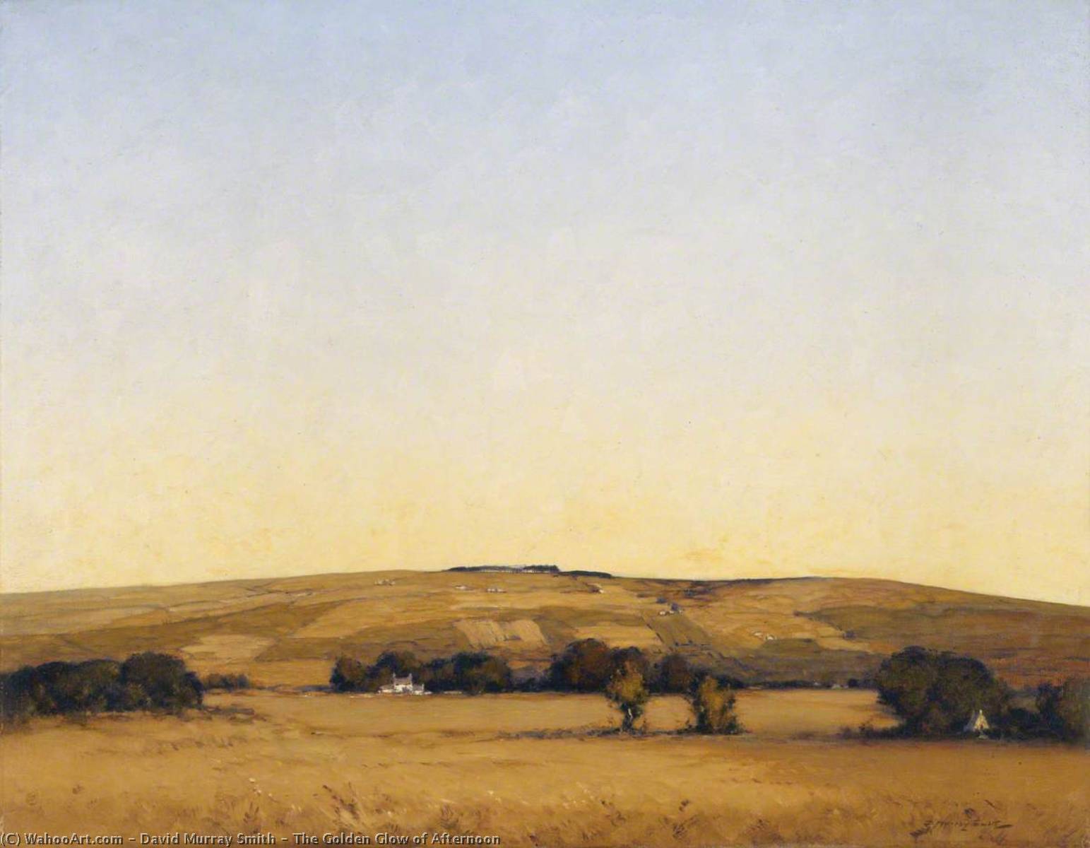 The Golden Glow Of Afternoon — David Murray Smith