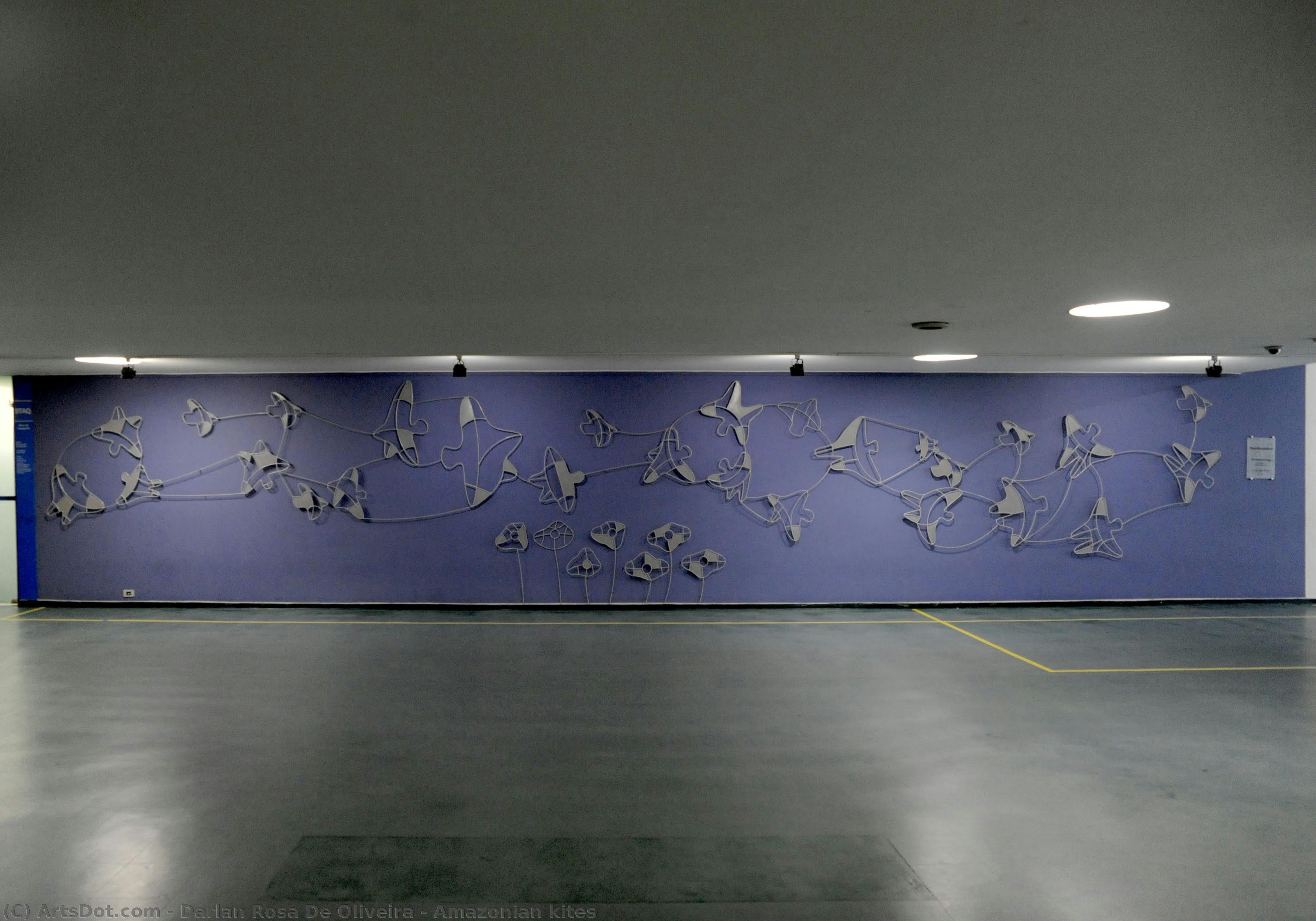 Amazonian Kites — Darlan Rosa De Oliveira