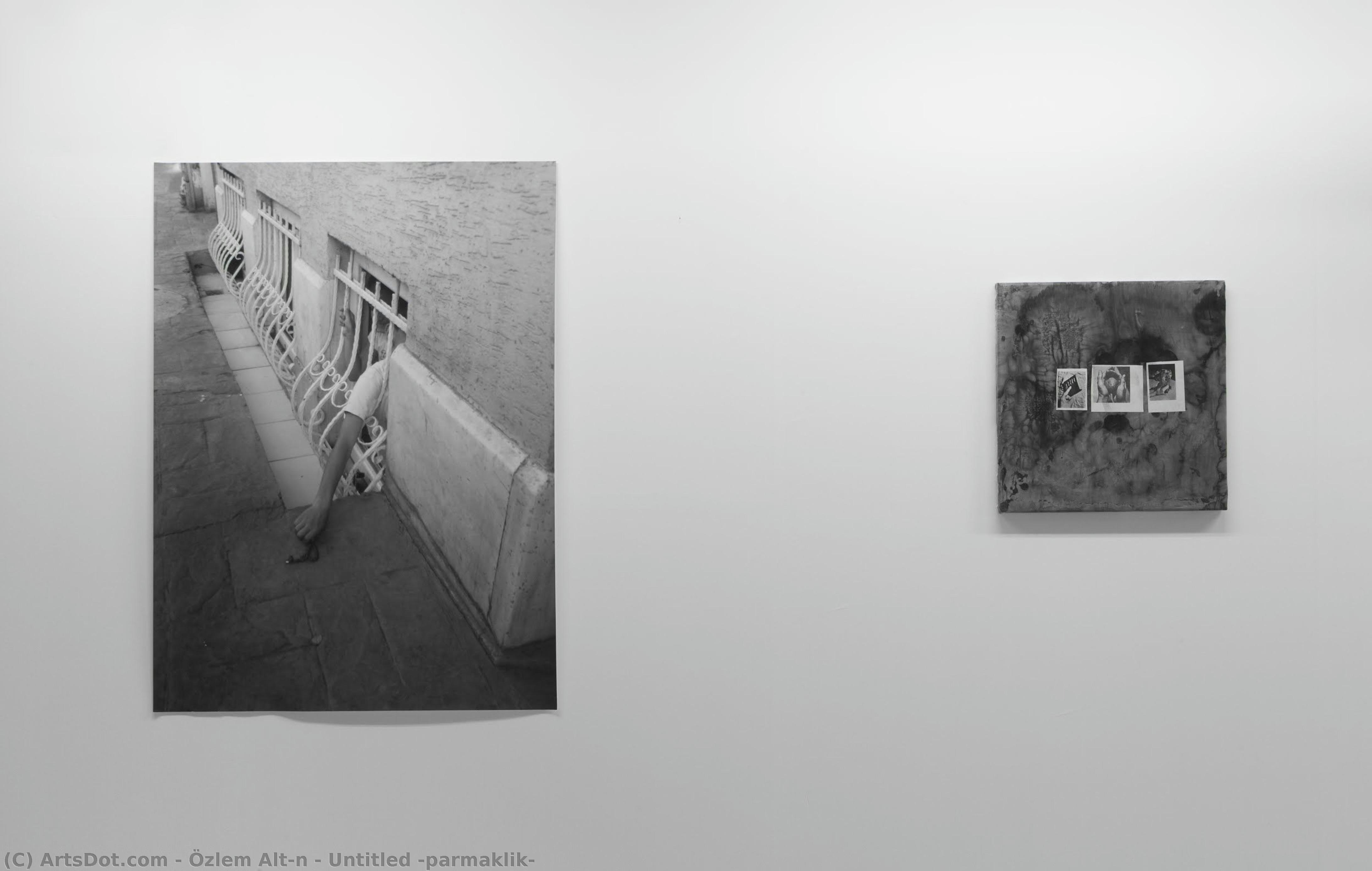 Untitled (parmaklik) — Özlem Altın
