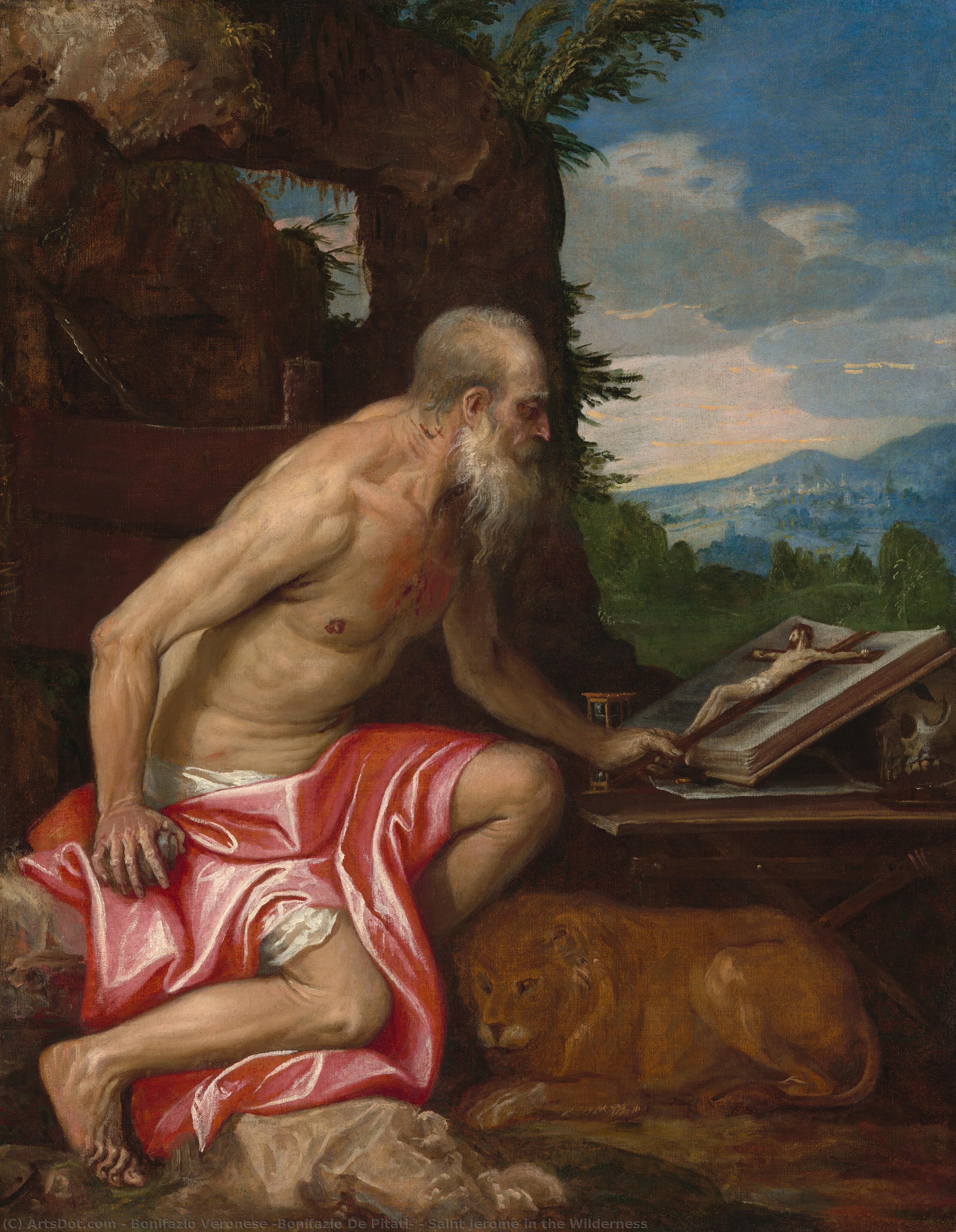 Saint Jerome In The Wilderness — Bonifazio Veronese (bonifazio De Pitati)