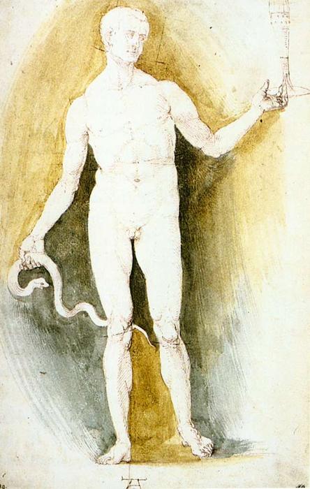 Männlicher Nackt Mit Glas Und Schlange, So Genannt Asclepius — Albrecht Dürer