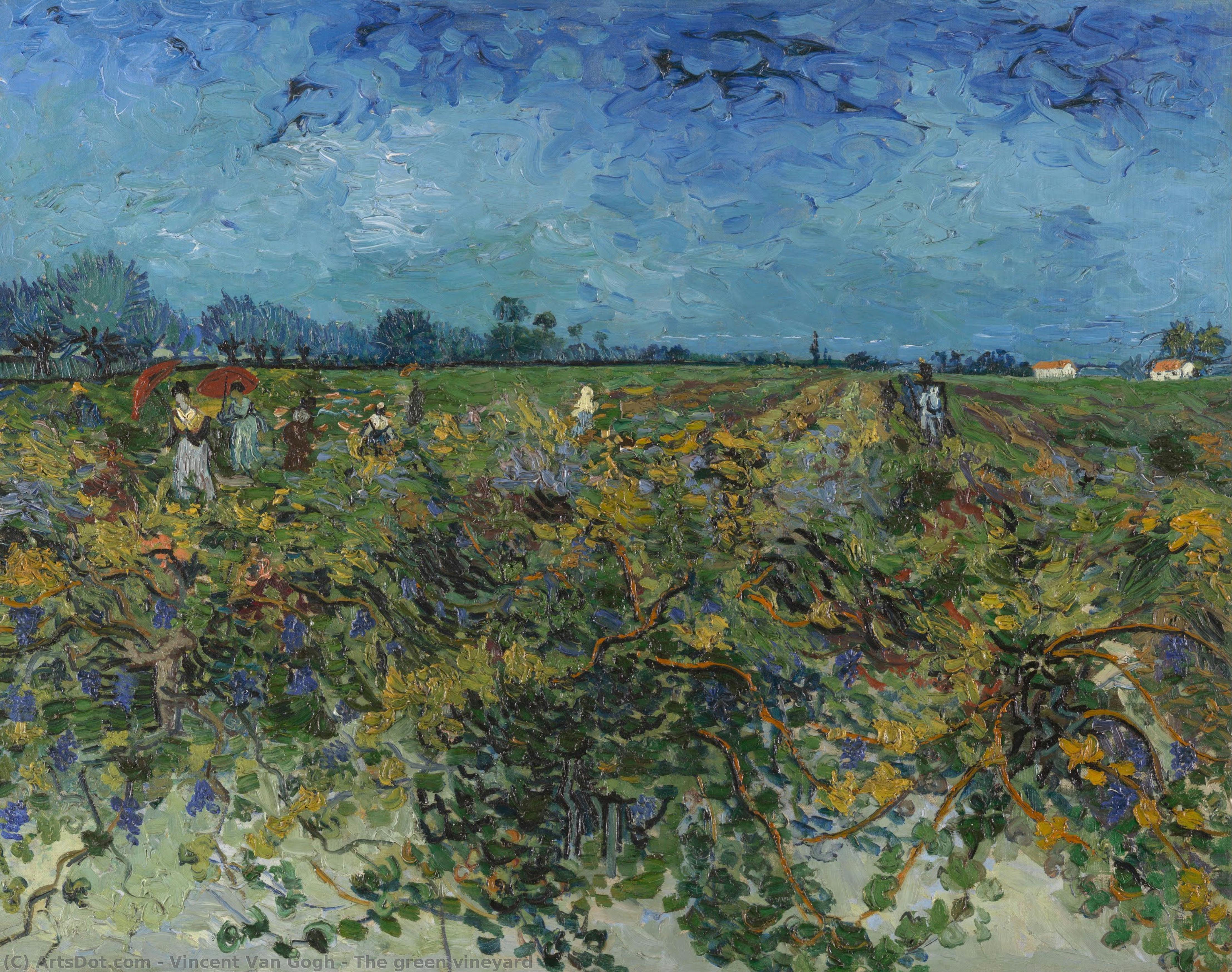 The Green Vineyard — Vincent Willem Van Gogh