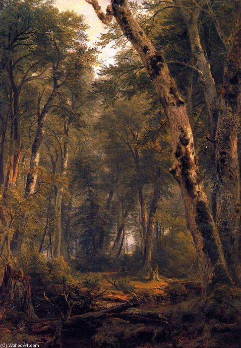 Study: Woodland Interior — Asher Brown Durand