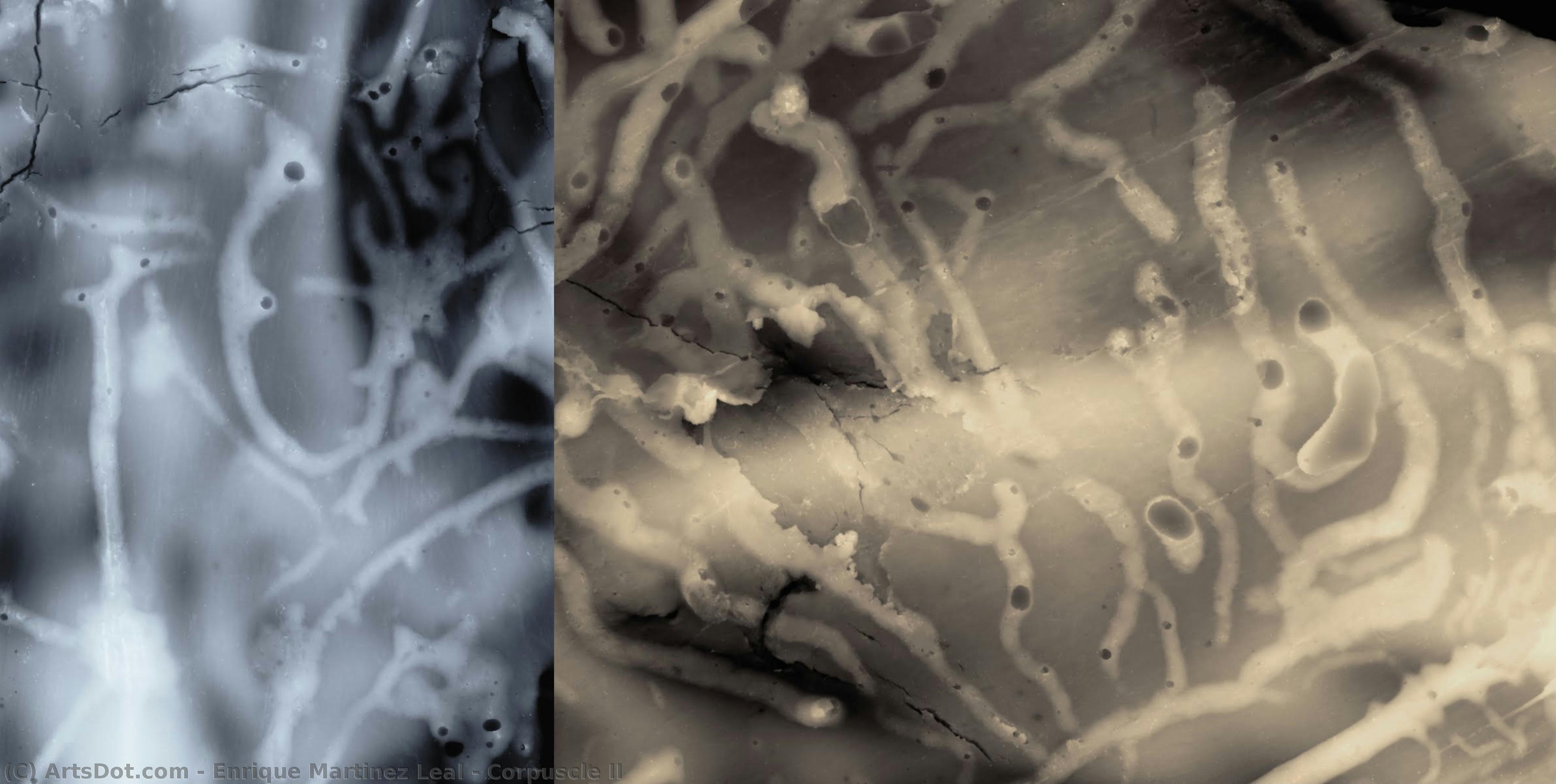Corpuscle Ii — Enrique Martinez Leal