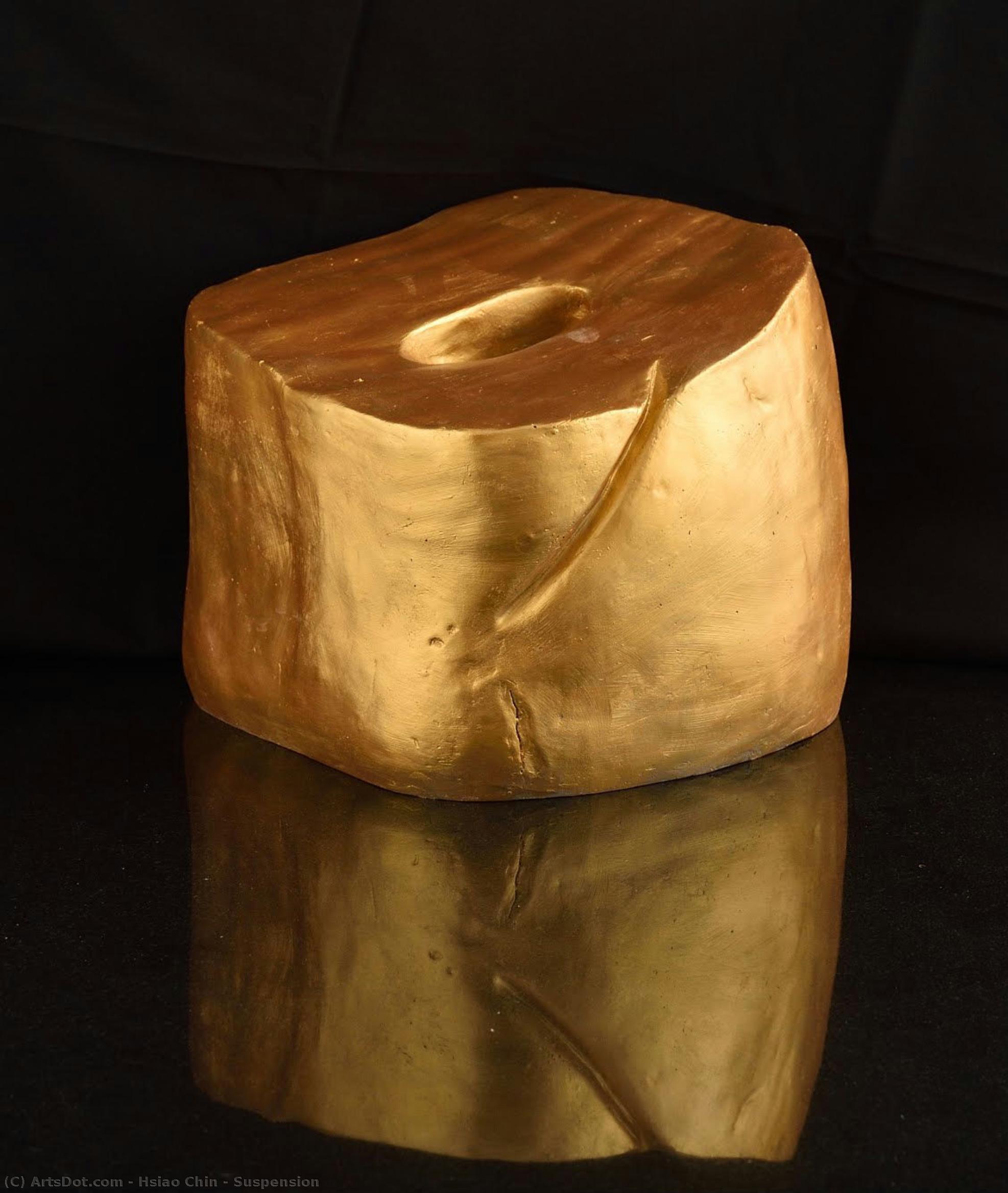 Suspension — Hsiao Chin