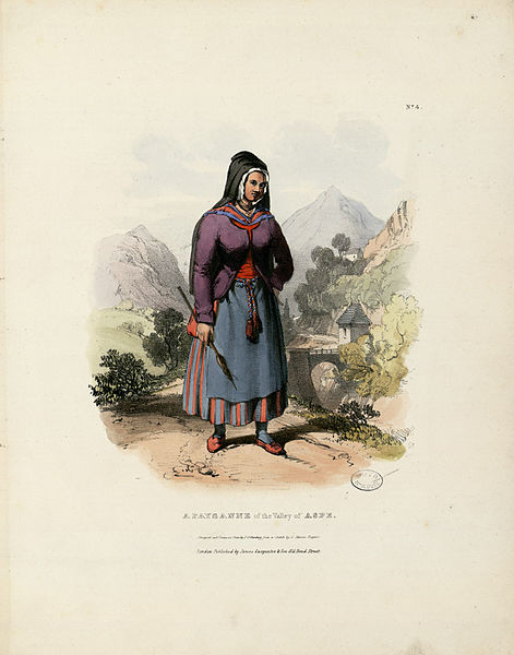 A Paysanne Of The Valley Of Aspe — Charles Duffield Harding
