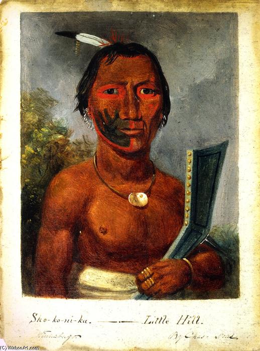 Sho-ko-ne-ka/little Hill — Charles Deas