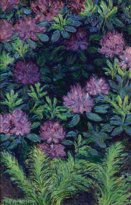 Rhododendrons, (1928) — Blanche Hoschedé-monet