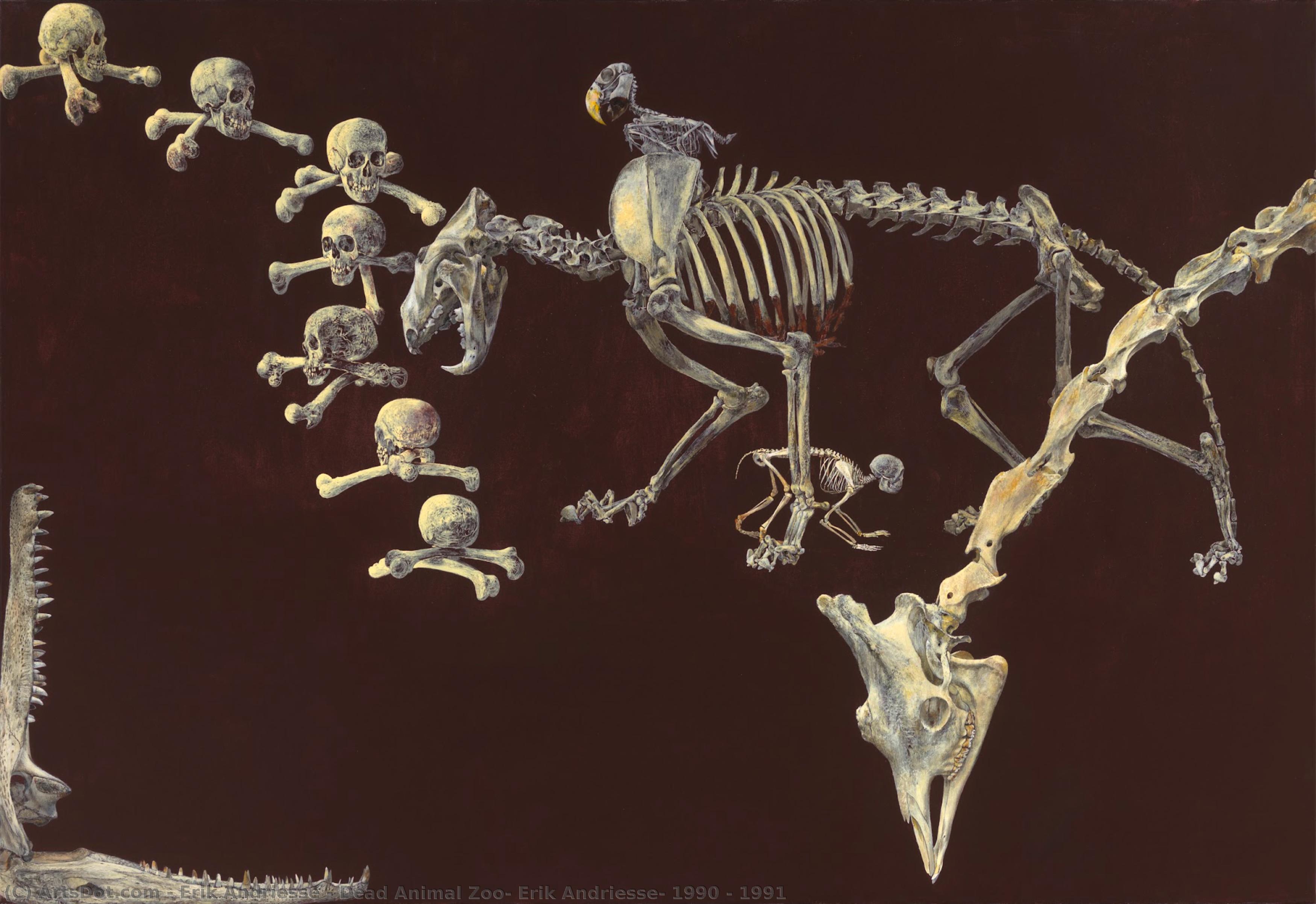 Dead Animal Zoo, Erik Andriesse, 1990 - 1991 — Erik Andriesse