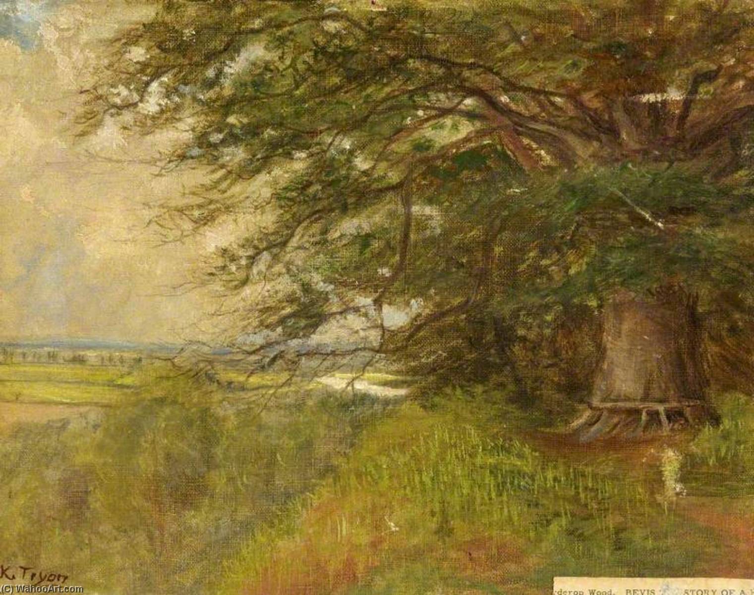 Burderop Wood, Wroughton, Wiltshire, 'bevis, The Story Of A Boy' — Kate Allen Tryon