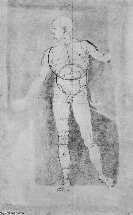 Male Nude (adam) — Albrecht Dürer