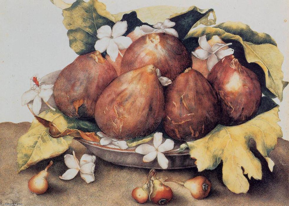 Figs — Джованна Гарцони