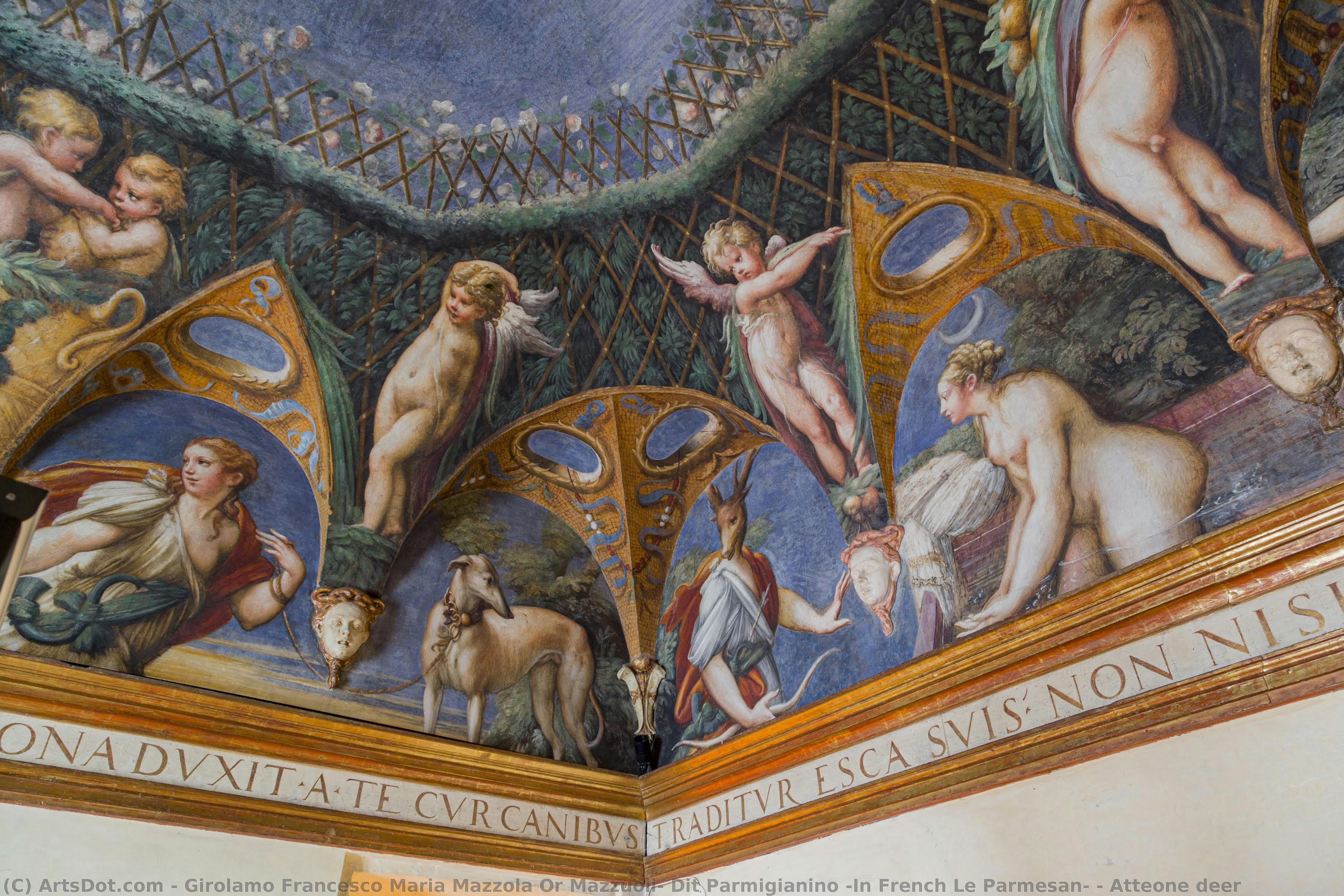 Atteone Deer — Girolamo Francesco Maria Mazzola Or Mazzuoli, Dit Parmigianino (in French Le Parmesan)