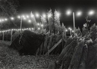 Atlanta, Georgia — Mark Steinmetz