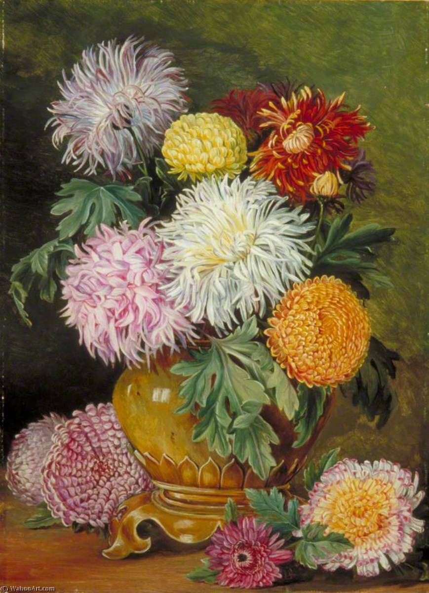 Japanese Chrysanthemums, Cultivated In This Country — Marianne North