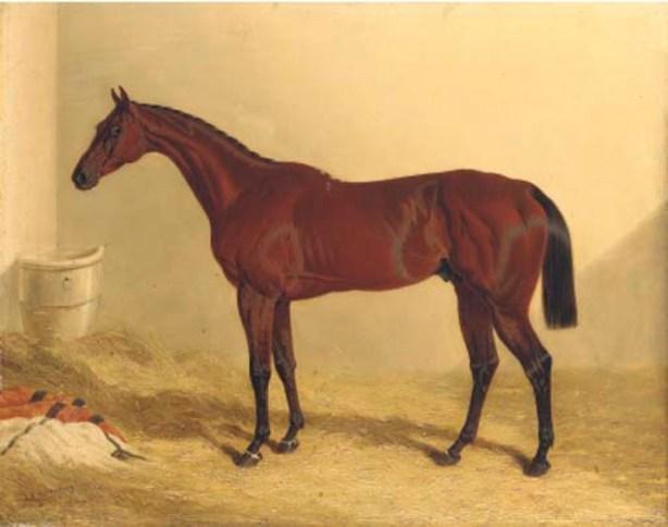 Bay Middleton, A Bay Racehorse In A Loose Box — Džon Frederik Hering Stariji