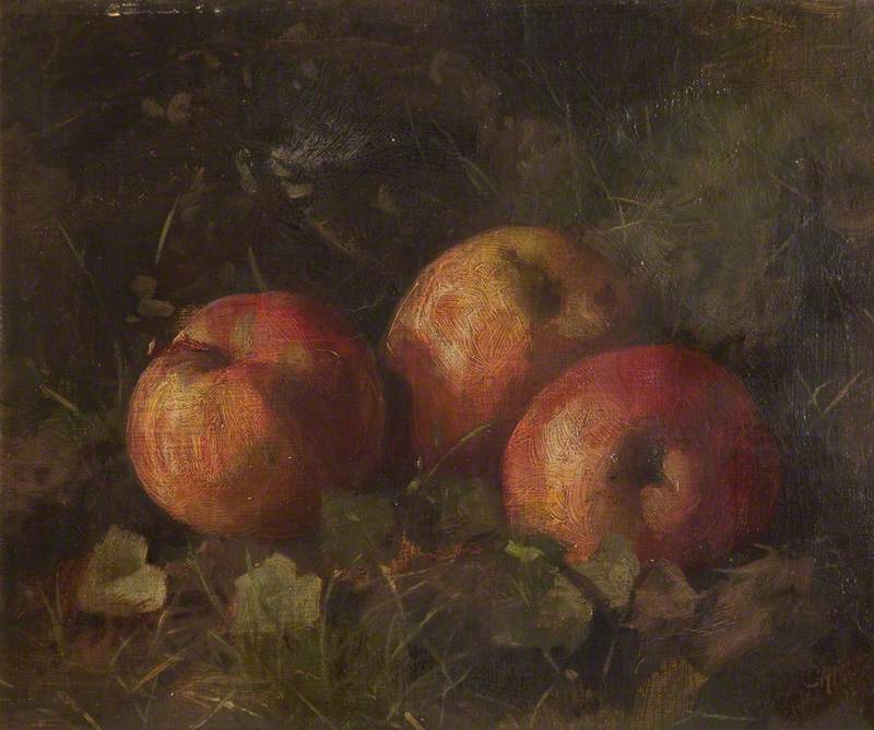 Study Of Apples — Joseph Cross
