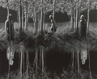 Small Woods Where I Met Myself — Jerry N. Uelsmann