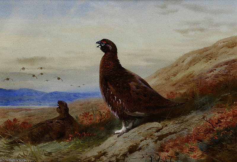 The Challenge — Archibald Thorburn