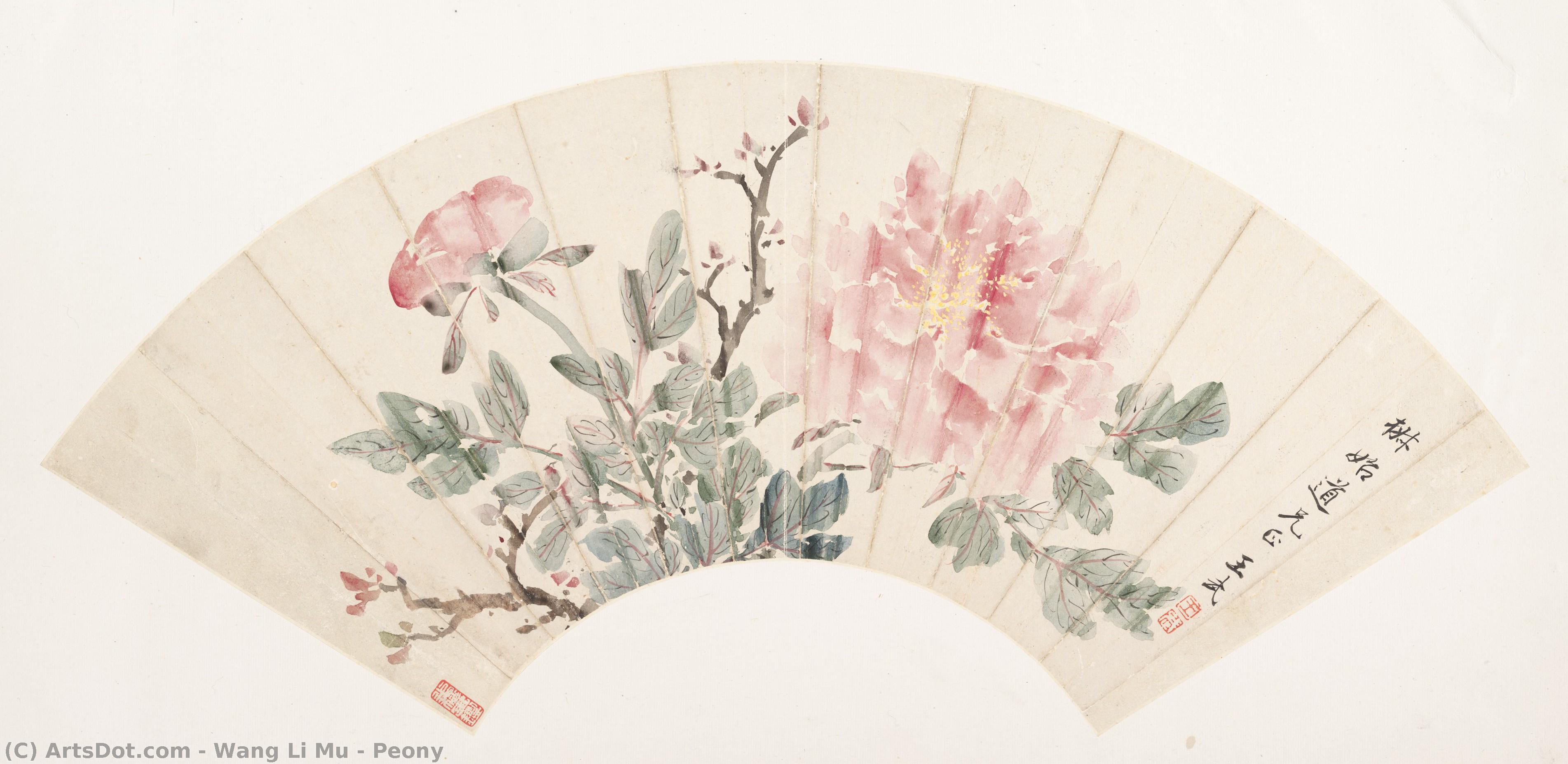 Peony — Wang Li Mu