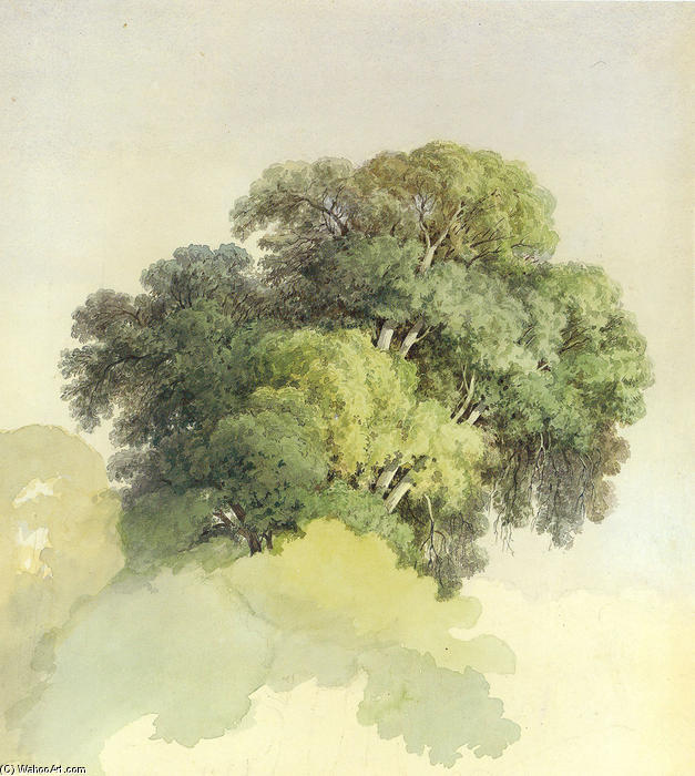 The Crowns Of The Trees — Fyodor Alexandrovich Vasilyev