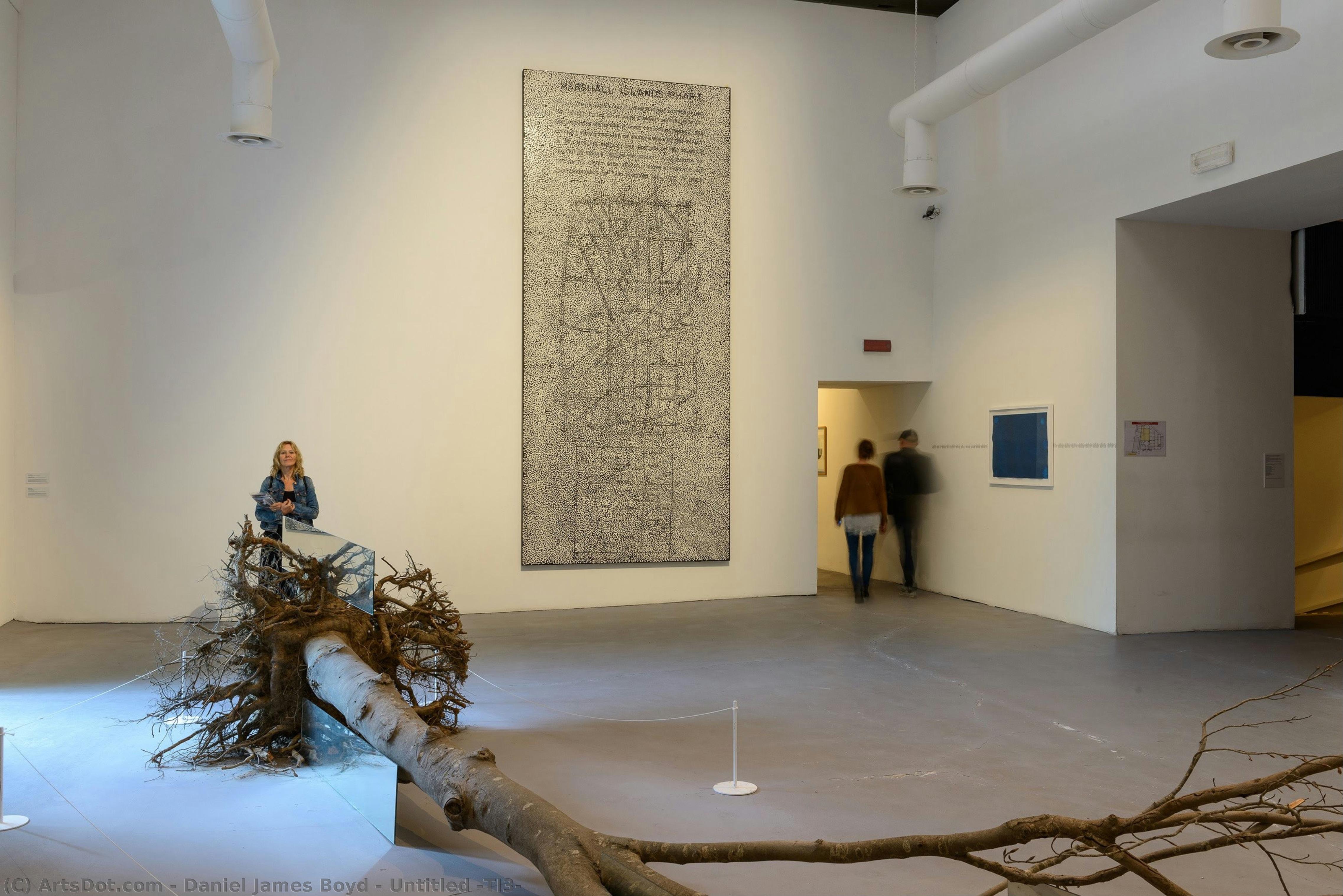 Untitled (ti3) — Daniel James Boyd