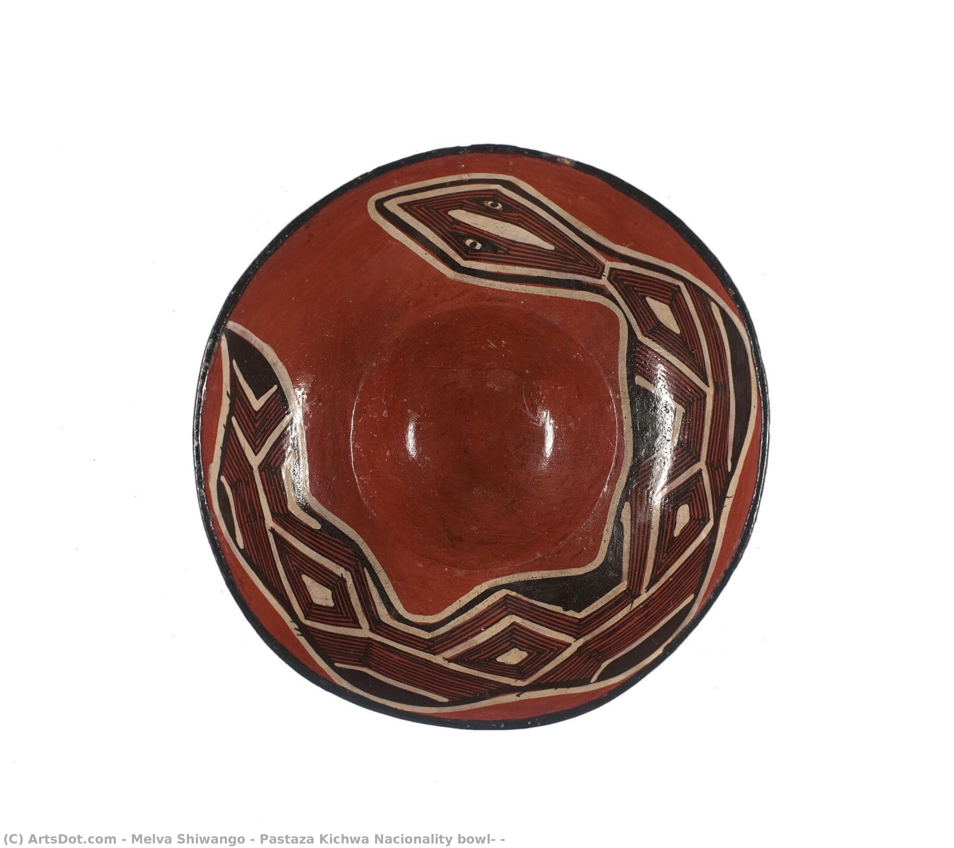 Pastaza Kichwa Nacionality Bowl, — Melva Shiwango