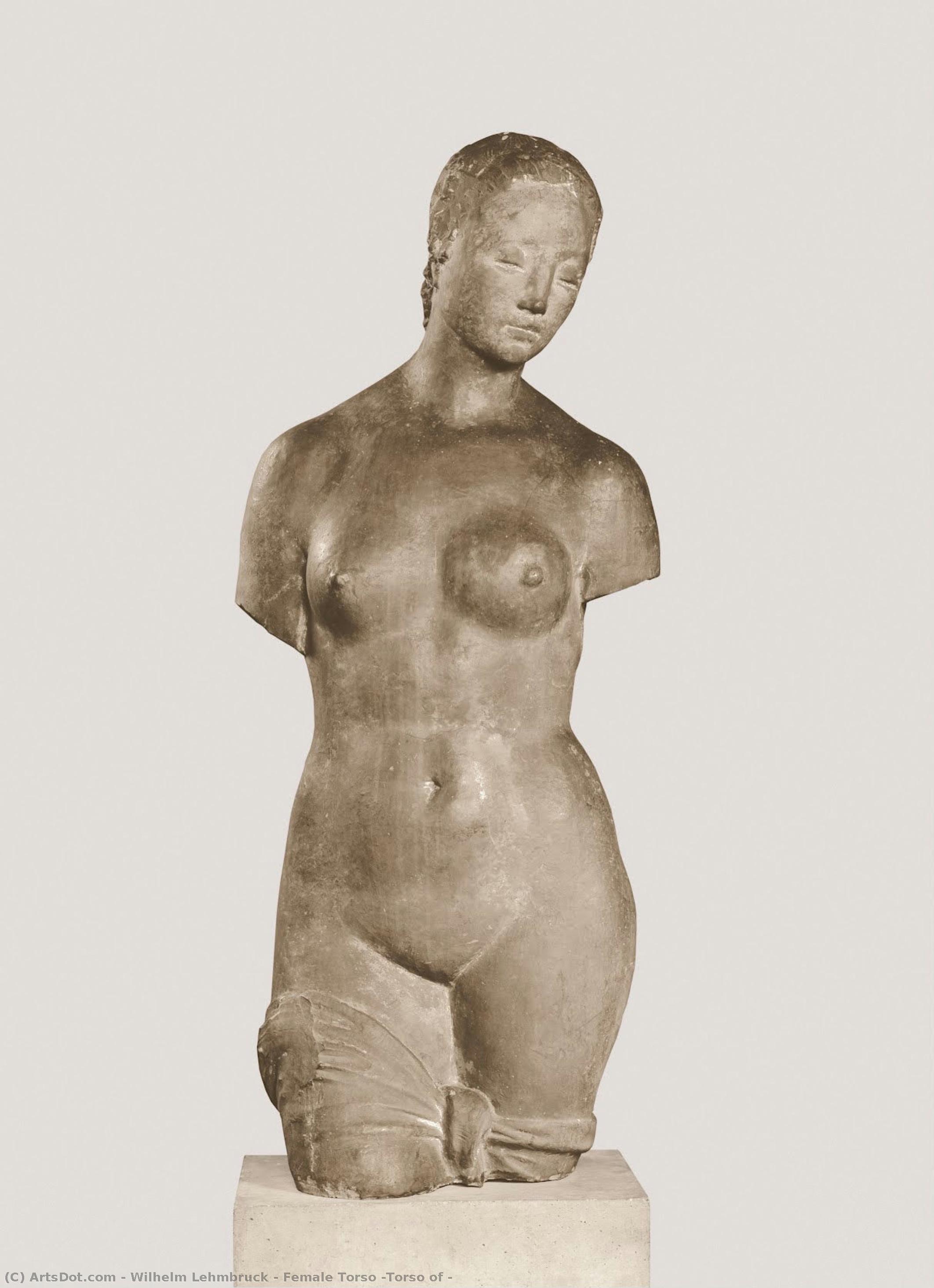 Female Torso (torso Of — Wilhelm Lehmbruck