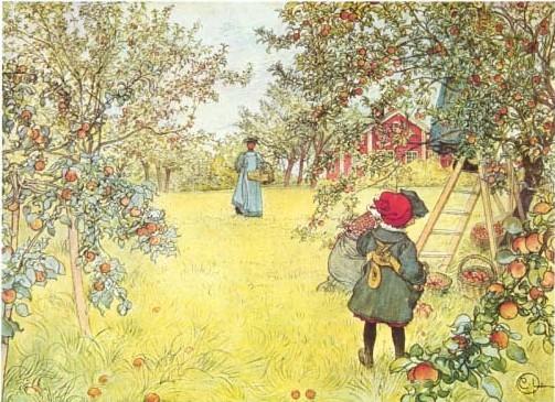 Apple Harvest — Carl Larsson