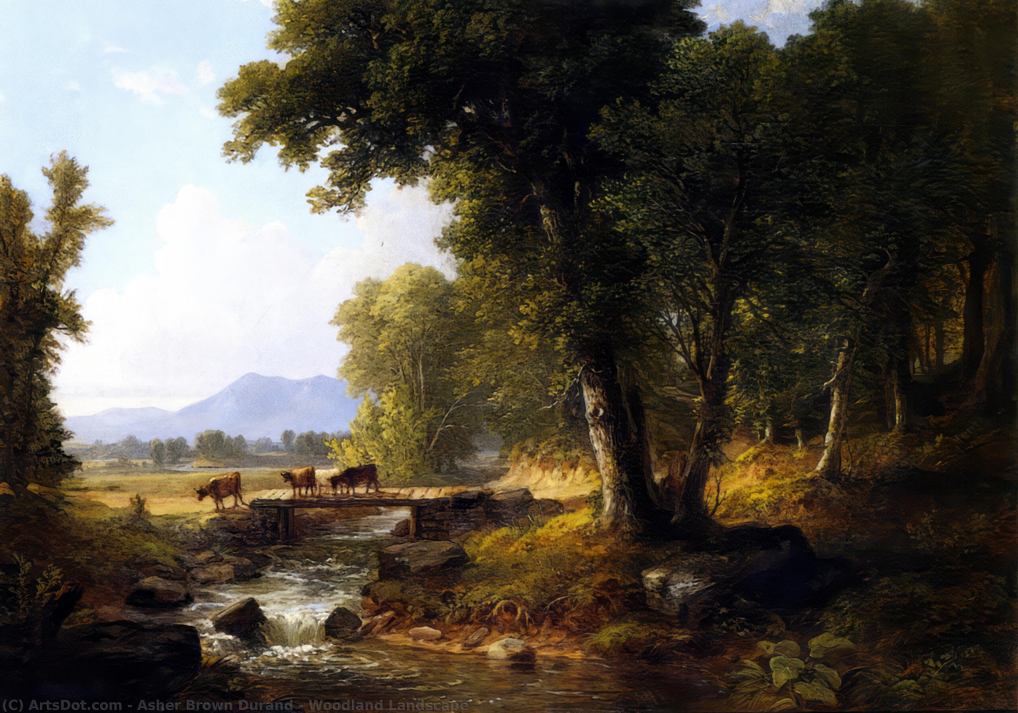 Woodland Landscape — Ашер Браун Дюран