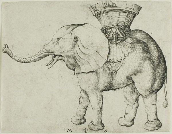 The Elephant — Martin Schongauer