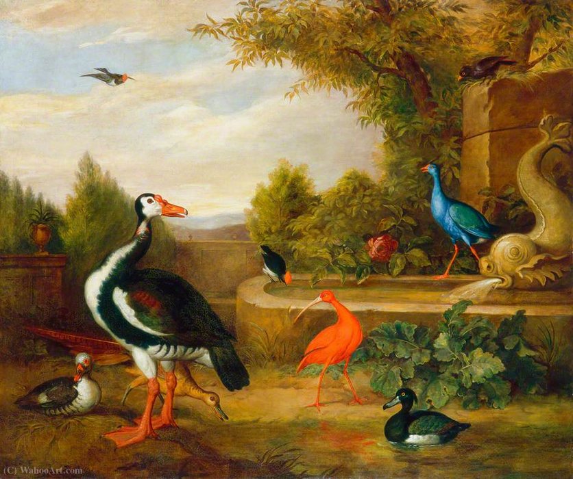 Various Types Of Birds (with A Kingfisher And A Fountain) — Tobias Stranover