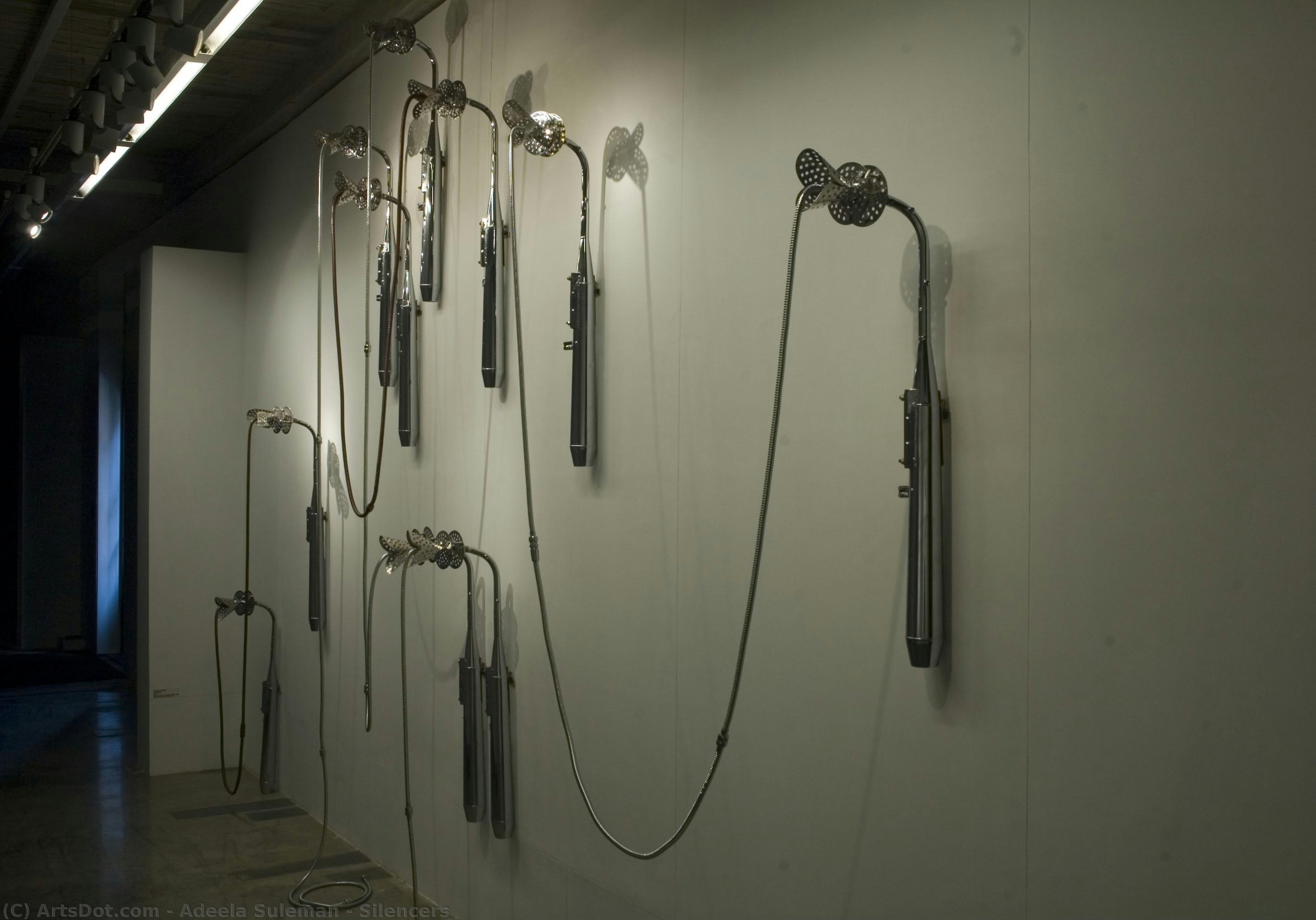 Silencers — Adeela Suleman