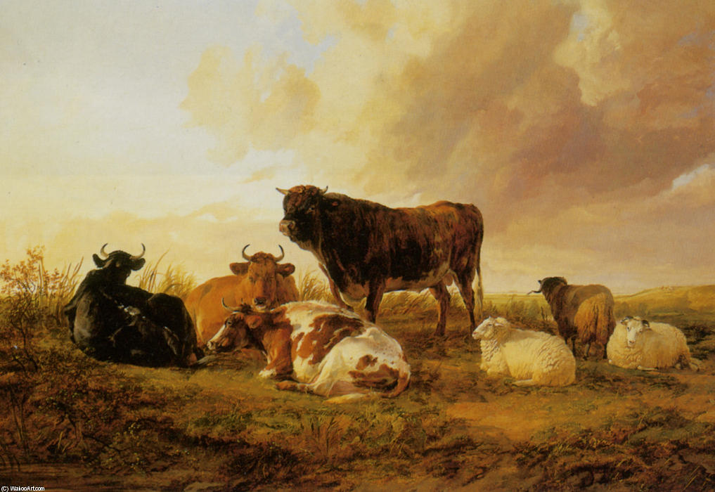 Cattle And Sheep In A Field — Tomas Sidni Kuper