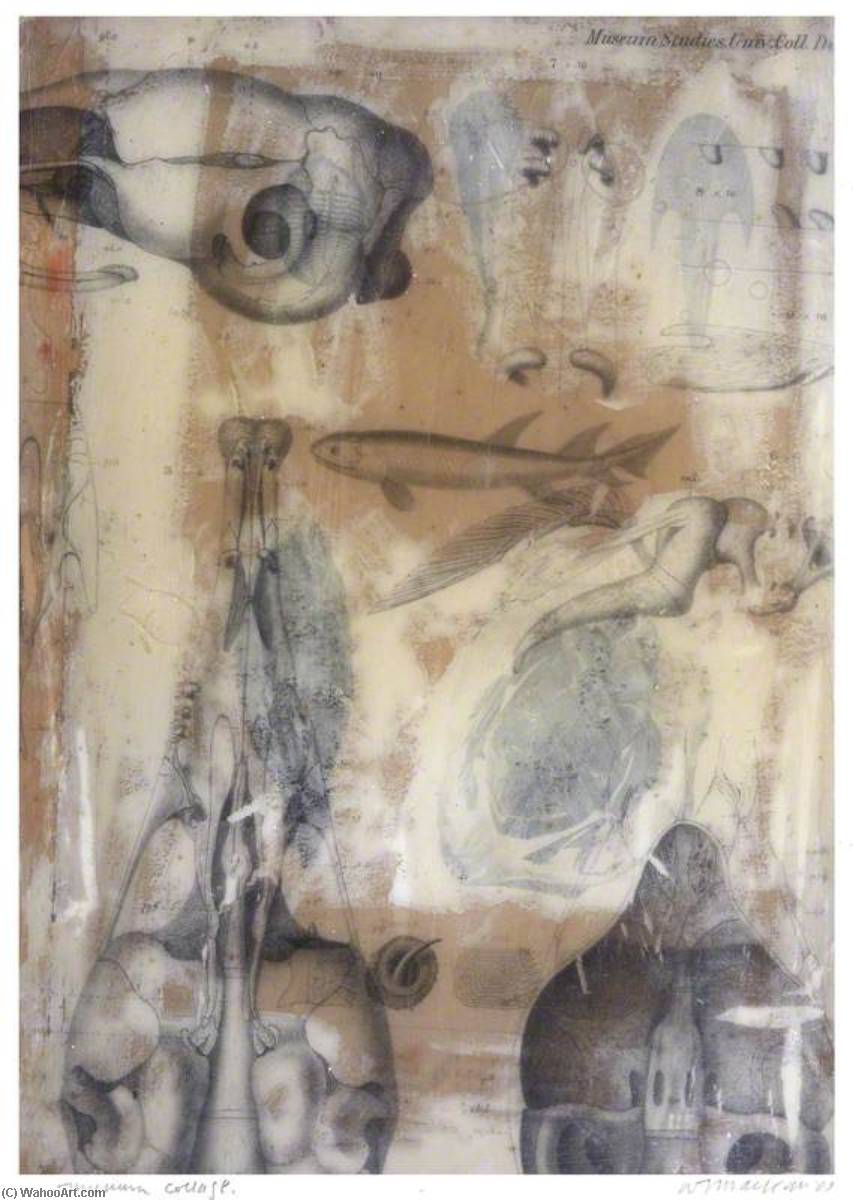 Museum Collage For D'arcy Thompson — Will Maclean