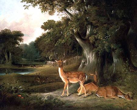 Deer In A Wooded Landscape — Томас И Уильям Дэниэл