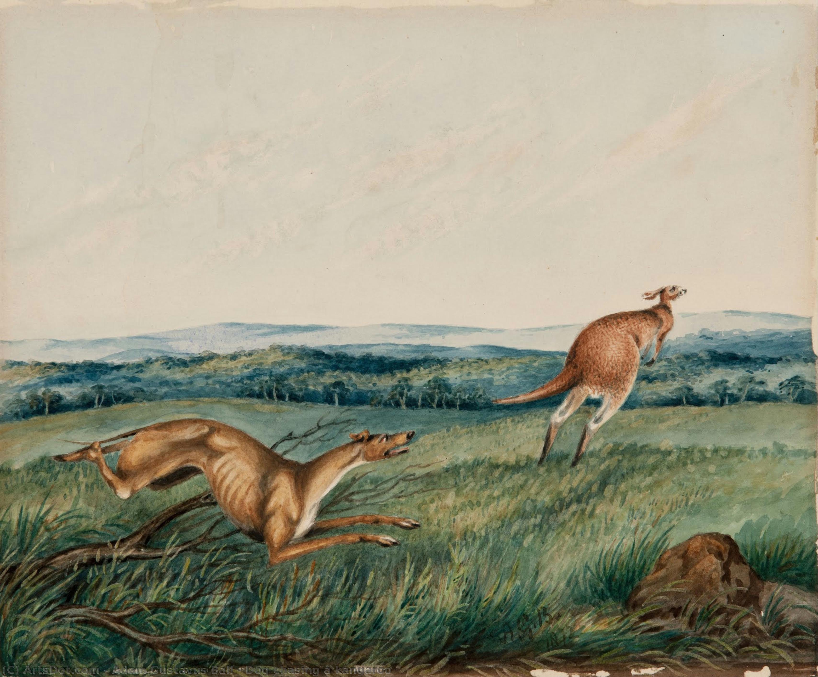 Dog Chasing A Kangaroo — Adam Gustavus Ball