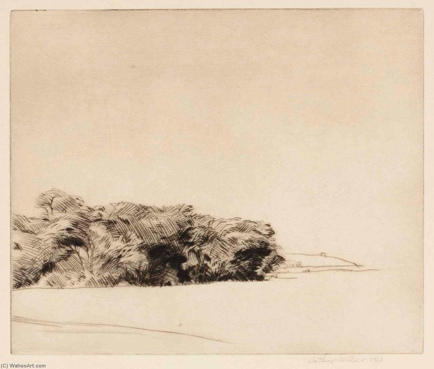 Willows — Arthur Millier