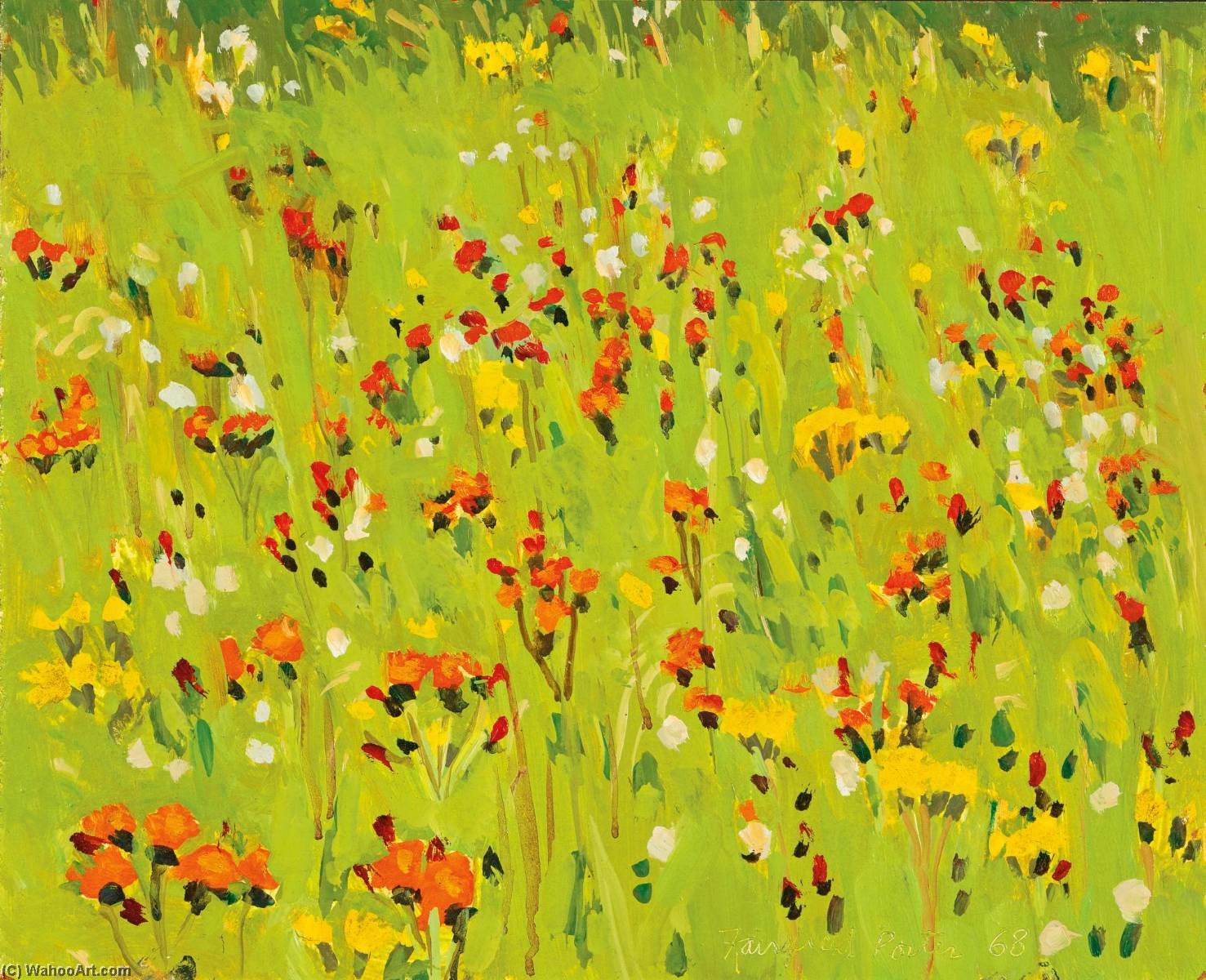 Hawkweed — Fairfield Porter
