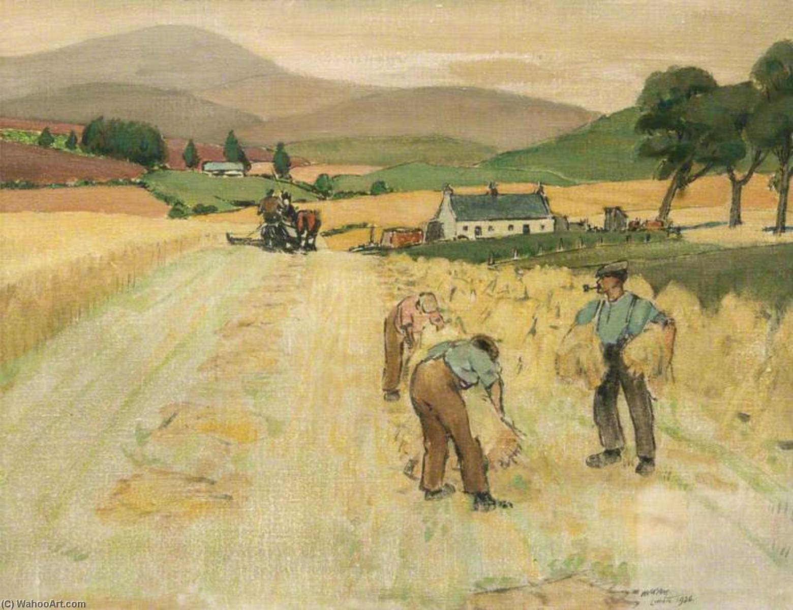 Harvest, Angus (recto) — James Mcbey