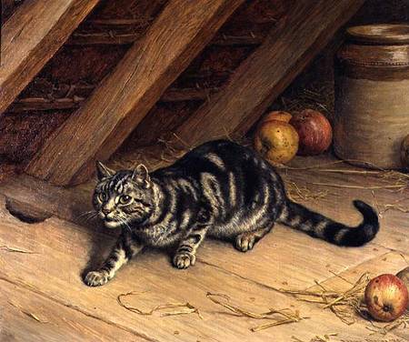 Alert — Frank Paton