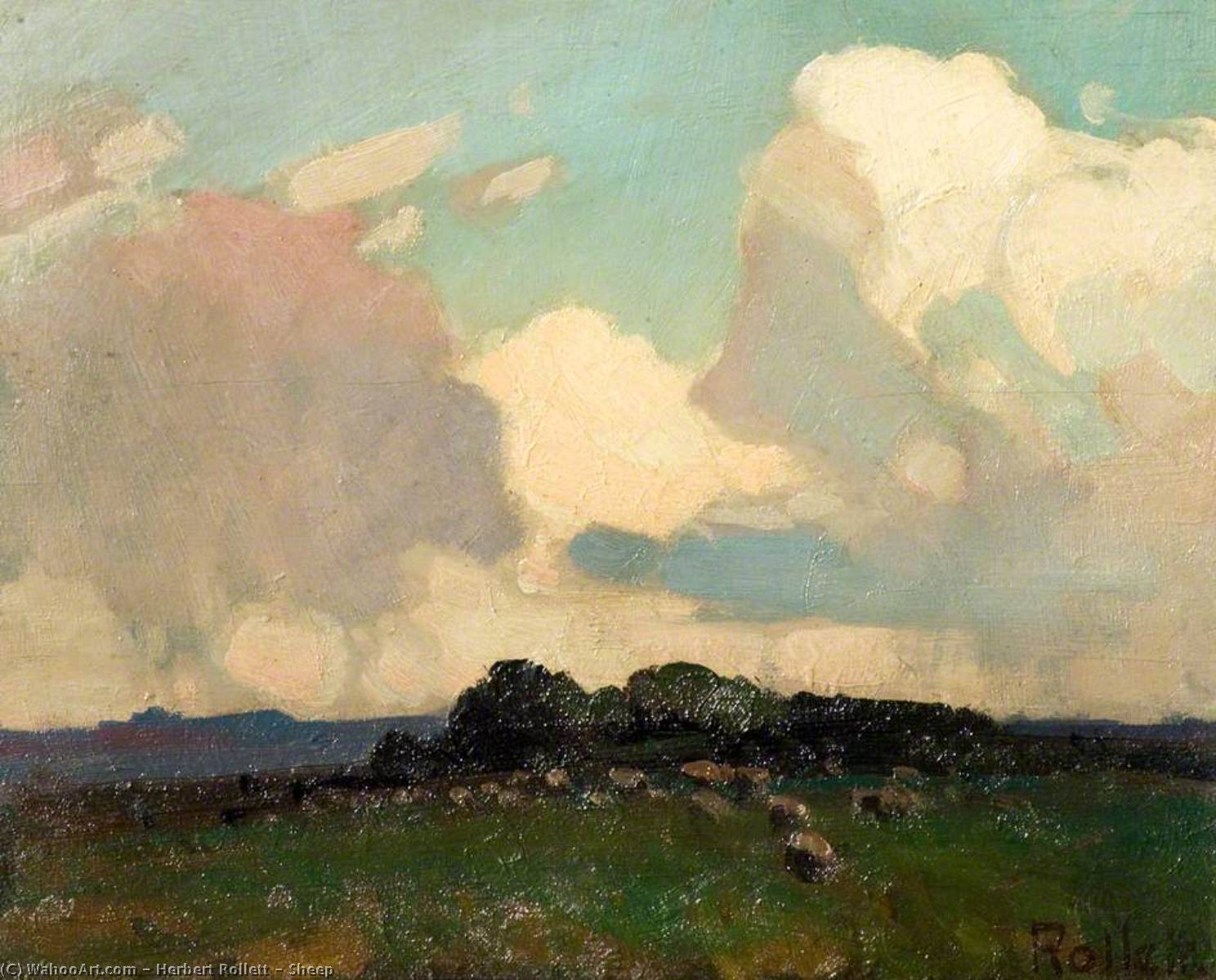 Sheep — Herbert Rollett