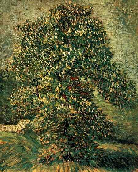 Chestnut Tree In Blossom 3 — Vincent Willem Van Gogh