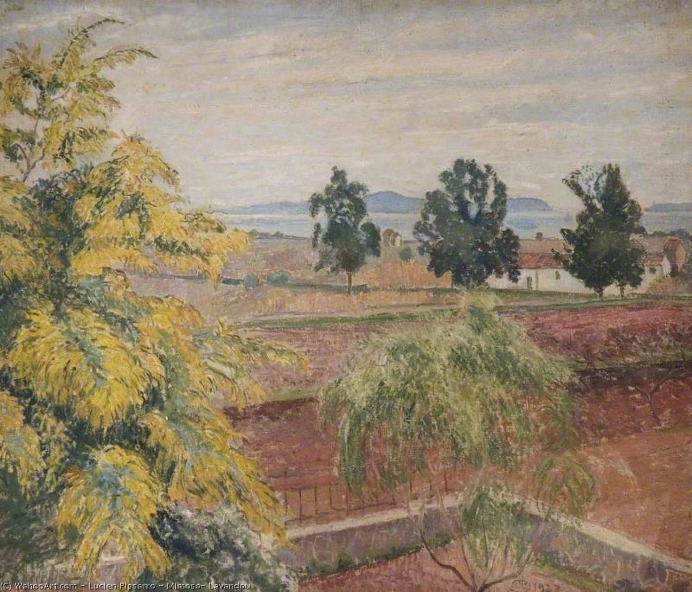 Mimosa, Lavandou — Lucien Pissarro