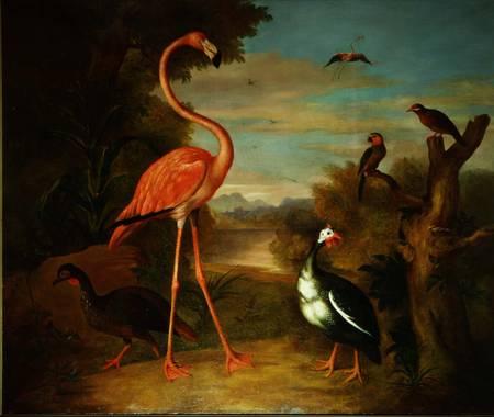 Flamingo And Other Birds In A Landscape — Jakob Bogdani
