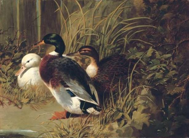 Ducks By A Riverbank — John Frederick Herring Senior
