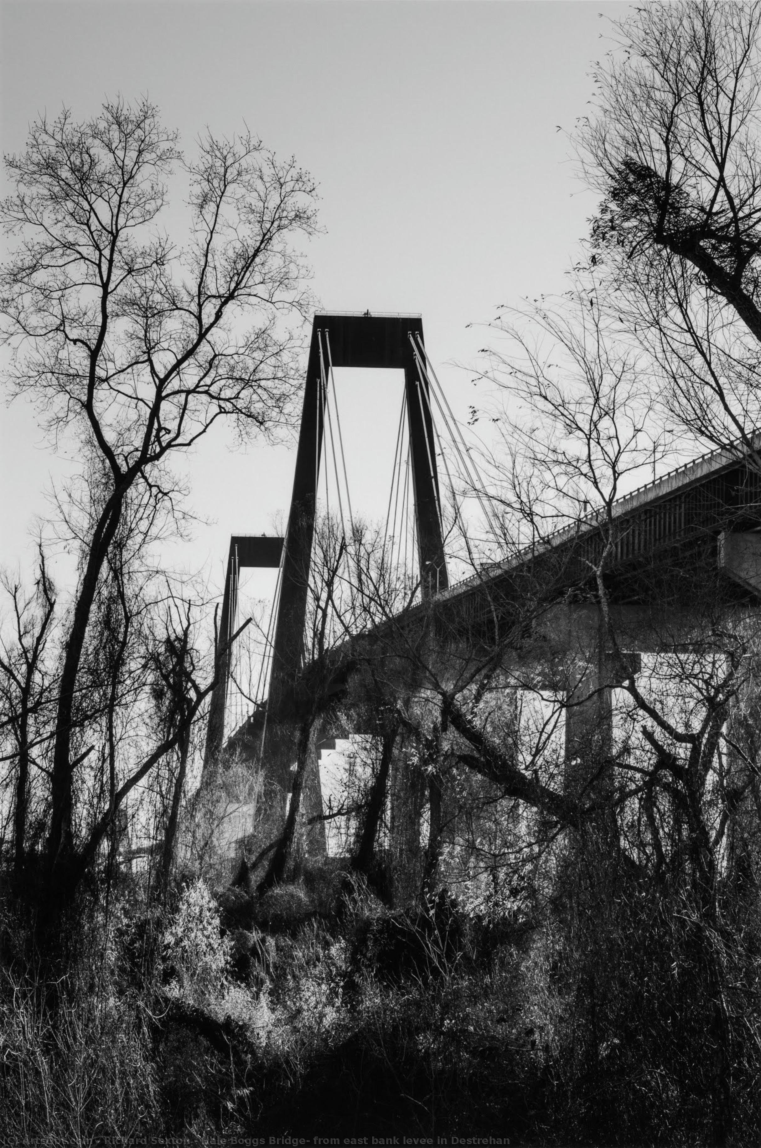 Hale Boggs Bridge; From East Bank Levee In Destrehan — Ričard Sekston