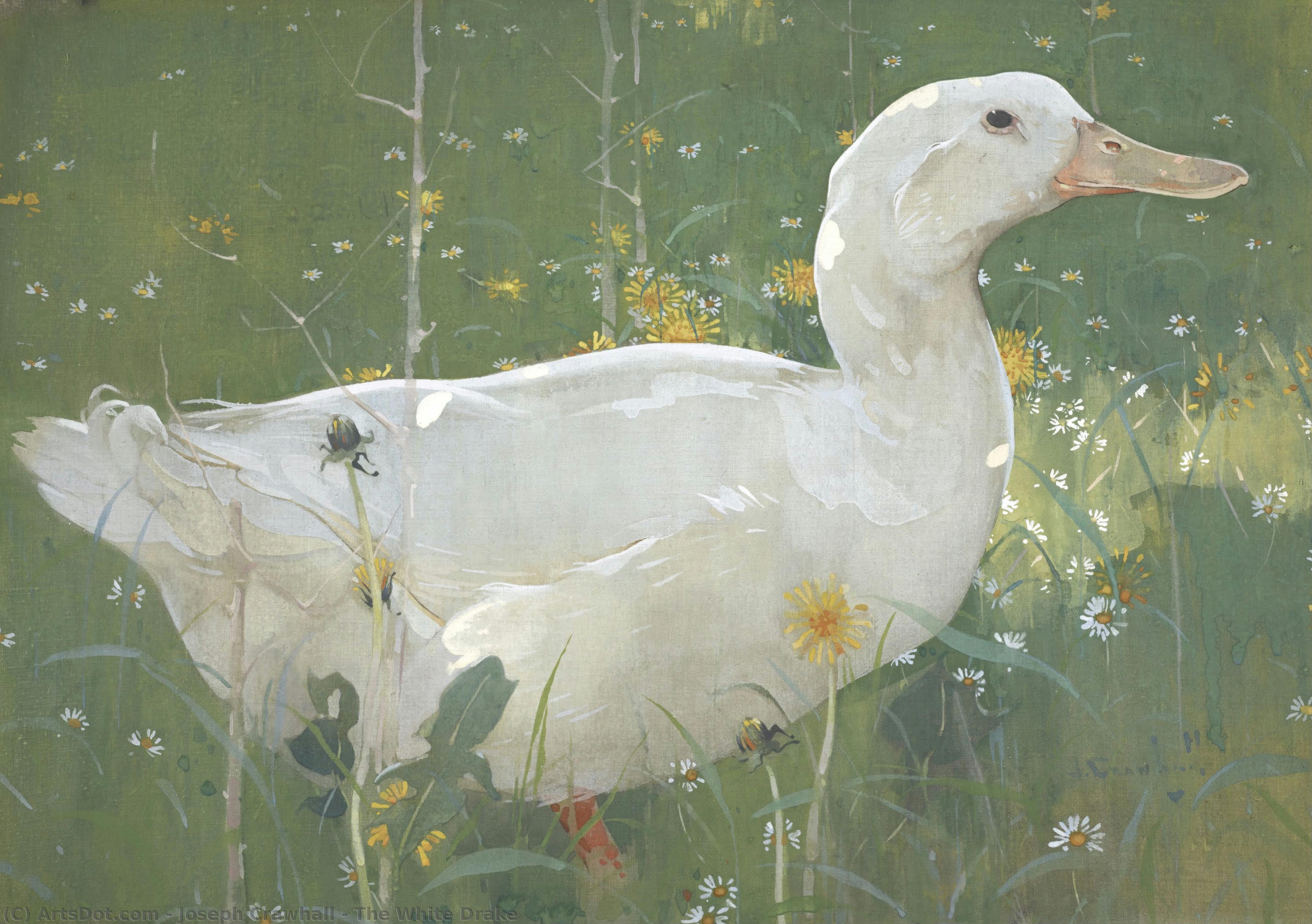 The White Drake — Džozef Krol