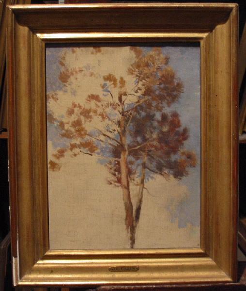 Etude De Pin — Žan Šarl Kazen