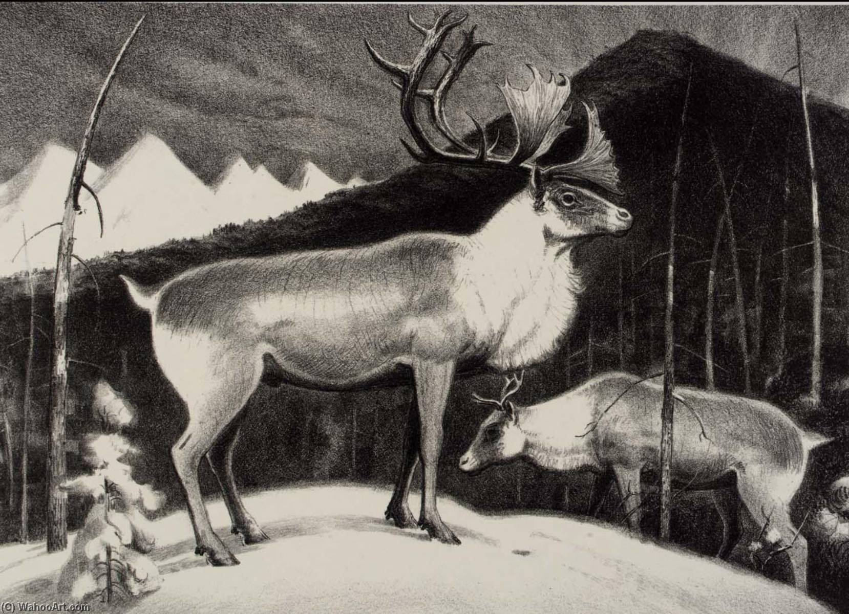 Caribou — James E Allen